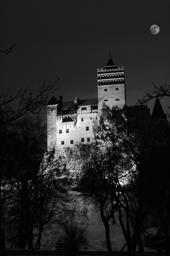 The Bran Castle in the night