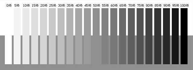 gray scale screen calibration