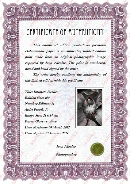 Ioan Nicolae - Certificate of Authenticity