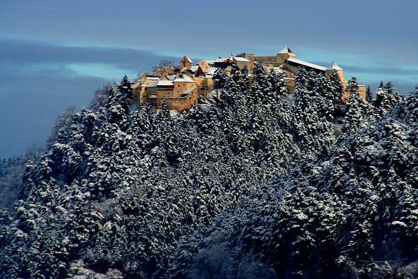 rasnov castle