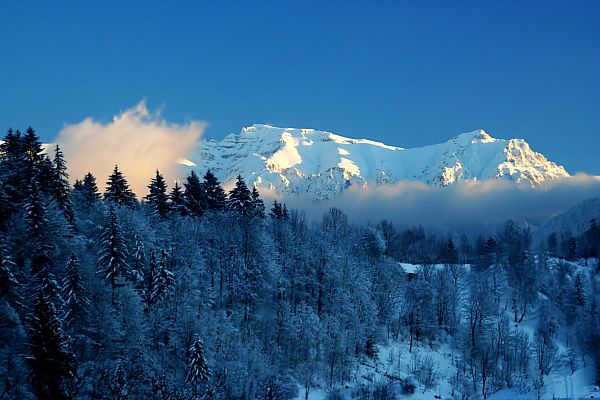 bucegi mountains