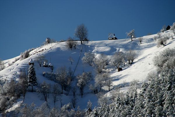 magura branului