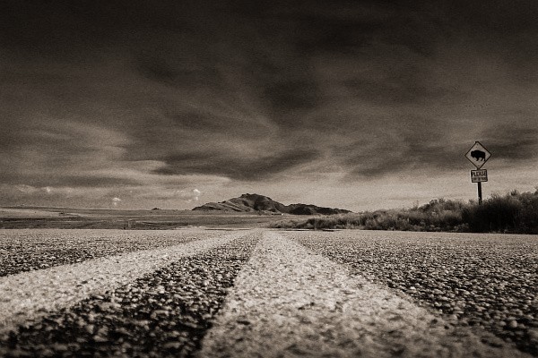 Antelope Island State Park, Salt Lake City, Utah